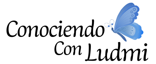 conociendoconludmi.com